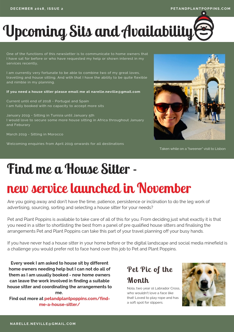 PetandPlantPoppins Email Newsletter December 2018-page-2