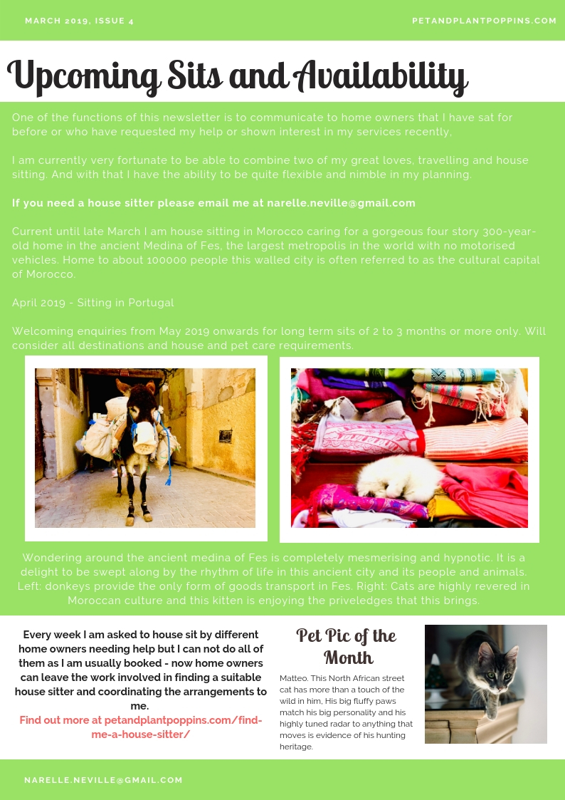 PPP Newsletter March 2019 (5)