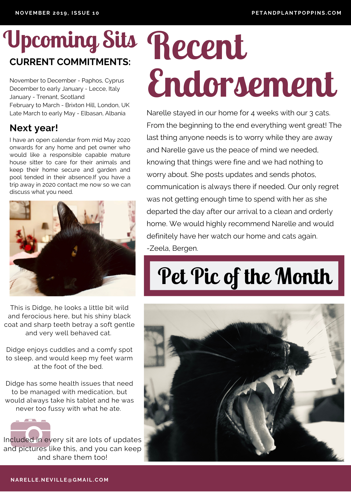 PPP Newsletter November 2019 page 2