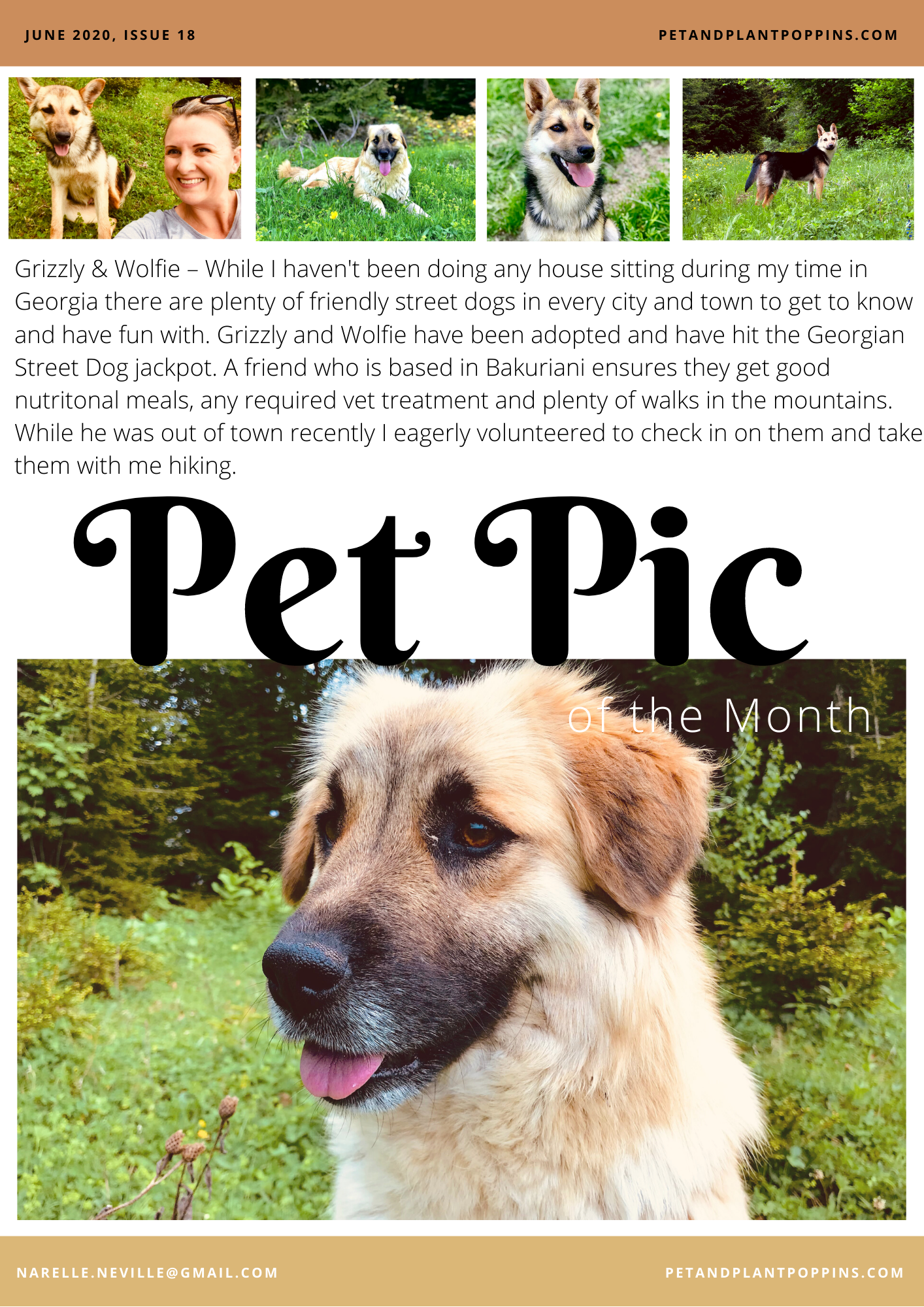 PPP Newsletter June 2020 page 2